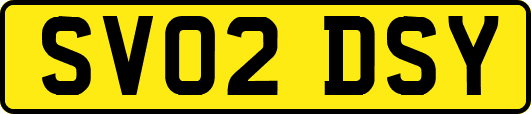 SV02DSY