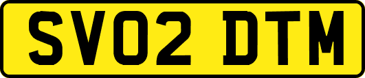 SV02DTM