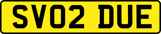 SV02DUE