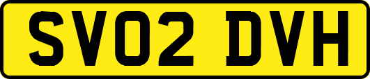 SV02DVH