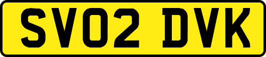 SV02DVK