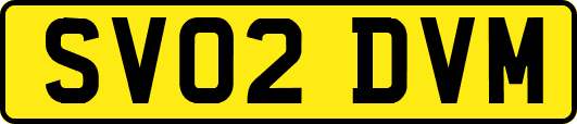 SV02DVM