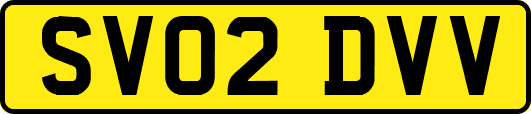 SV02DVV