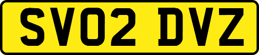 SV02DVZ