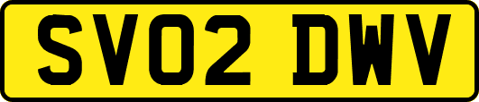 SV02DWV