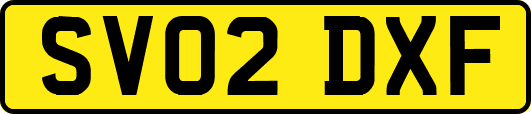 SV02DXF