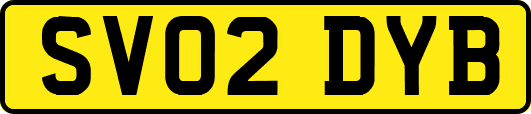 SV02DYB