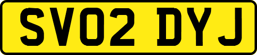 SV02DYJ