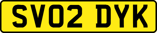 SV02DYK