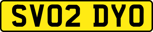 SV02DYO
