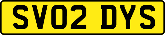 SV02DYS