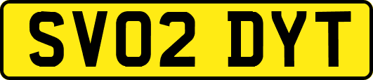 SV02DYT