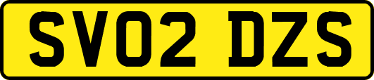 SV02DZS