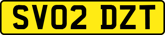 SV02DZT