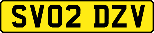 SV02DZV
