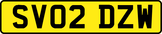 SV02DZW