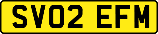 SV02EFM
