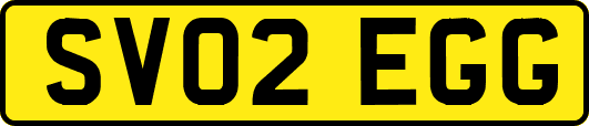 SV02EGG