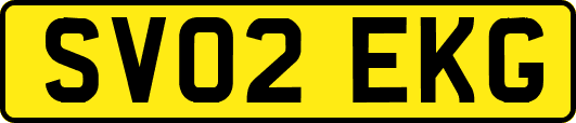 SV02EKG