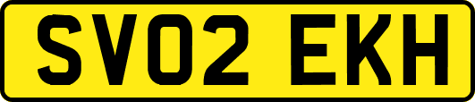 SV02EKH