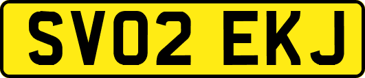 SV02EKJ