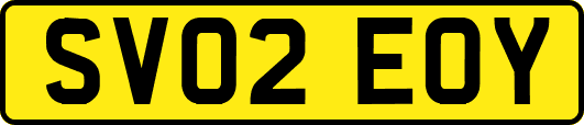 SV02EOY