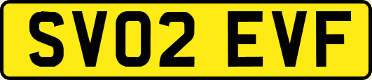 SV02EVF