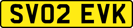 SV02EVK