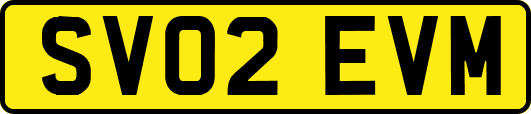 SV02EVM