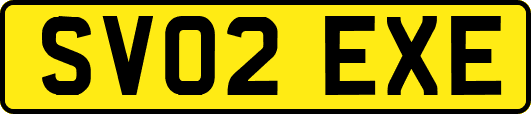 SV02EXE