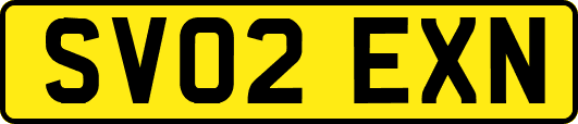 SV02EXN