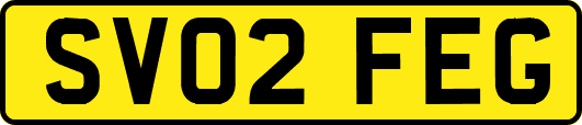 SV02FEG