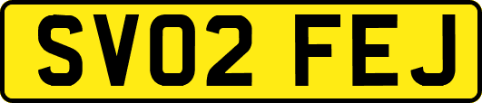 SV02FEJ