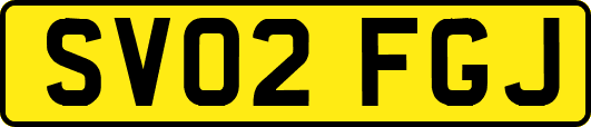 SV02FGJ