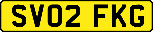 SV02FKG