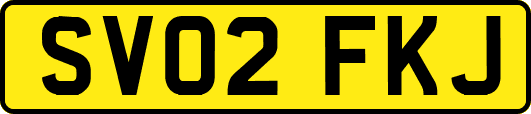 SV02FKJ