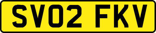 SV02FKV
