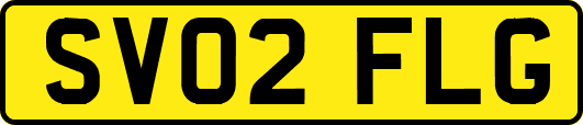SV02FLG