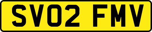 SV02FMV
