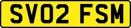 SV02FSM