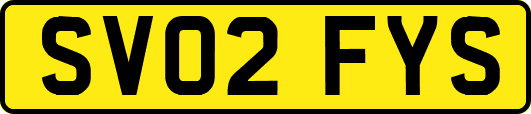 SV02FYS