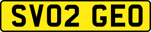 SV02GEO