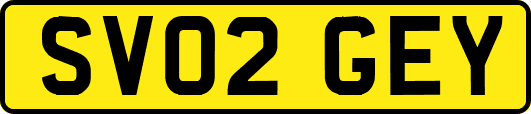 SV02GEY