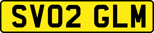 SV02GLM