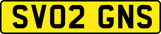 SV02GNS