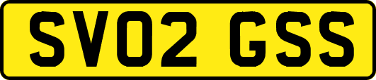 SV02GSS