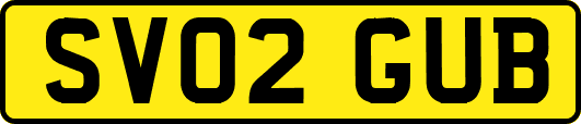 SV02GUB