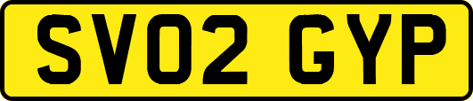 SV02GYP