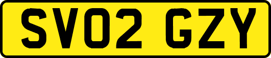 SV02GZY