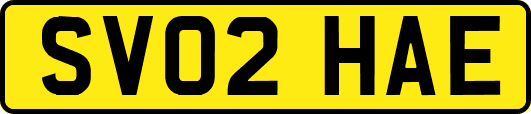 SV02HAE